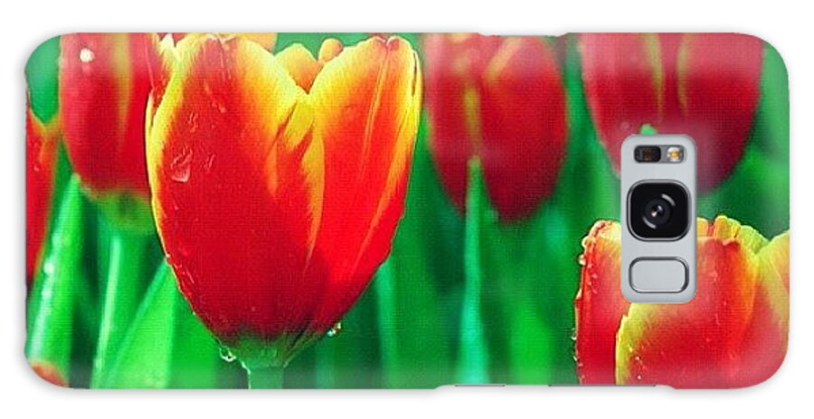 Summer Galaxy Case featuring the photograph Dear Tulips #flower by Rocky Boat