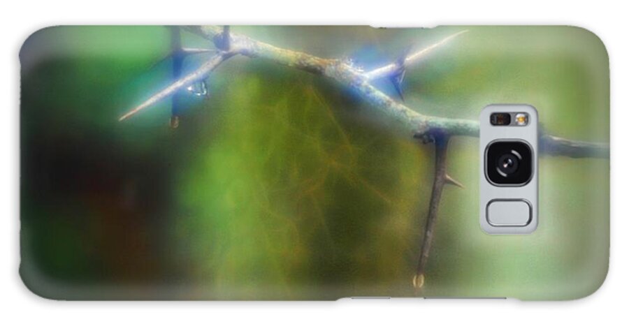 Swamp Galaxy Case featuring the photograph Deep in the Bayou by Judi Bagwell