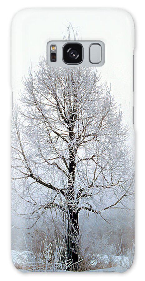 Tree Galaxy Case featuring the photograph Deep Solitude by Jon Lord