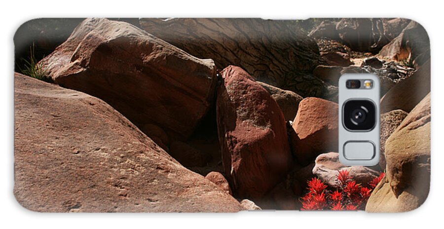 Desert Paintbrush Galaxy Case featuring the photograph Desert Paintbrush Zion National Park by Benjamin Dahl