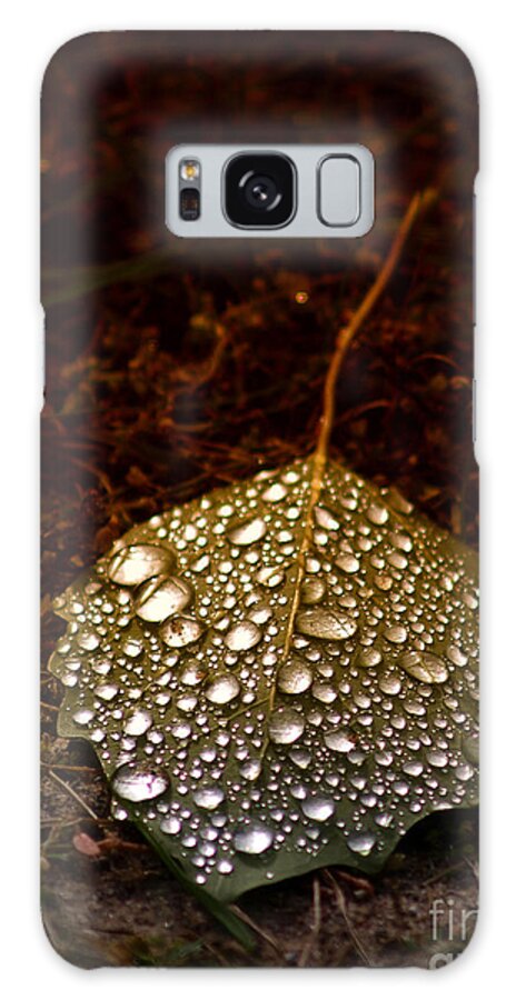 Dew Galaxy Case featuring the photograph Dewdrops by Terry Doyle
