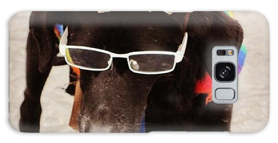 Costume Galaxy Case featuring the photograph Dog From Lima by Shayne Arcilla