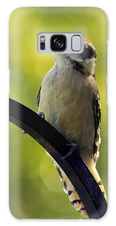 Woodpecker Galaxy Case featuring the photograph Downy Woodpecker Up Close by Bill and Linda Tiepelman