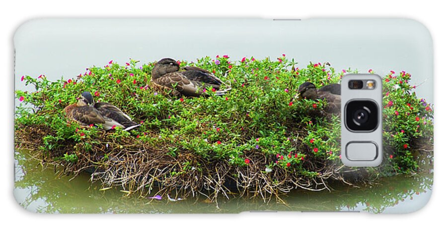 Floating Wreath Galaxy Case featuring the photograph Duck Heaven by S Paul Sahm