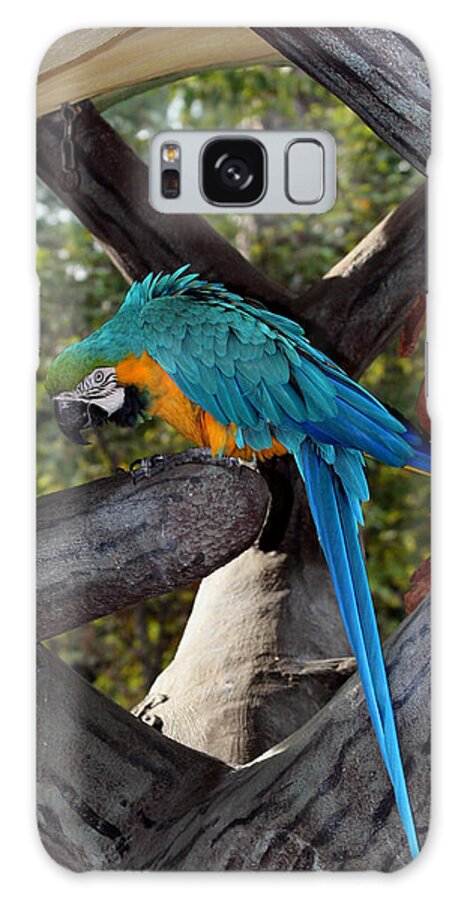Busch Gardens Galaxy Case featuring the photograph Elegant Parrot by Karen Harrison Brown