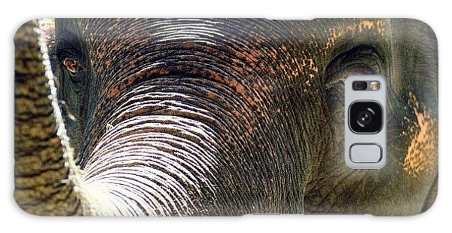Brown Galaxy Case featuring the photograph Elephant Eye..#travel #thailand by A Rey