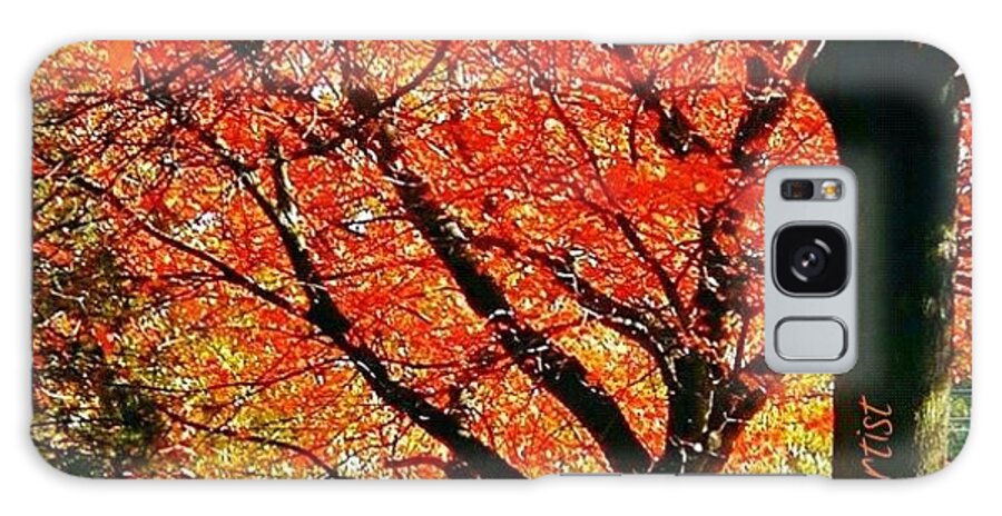 Fall Color Galaxy Case featuring the photograph Fall Color NW Lovejoy and 22nd Street by Anna Porter