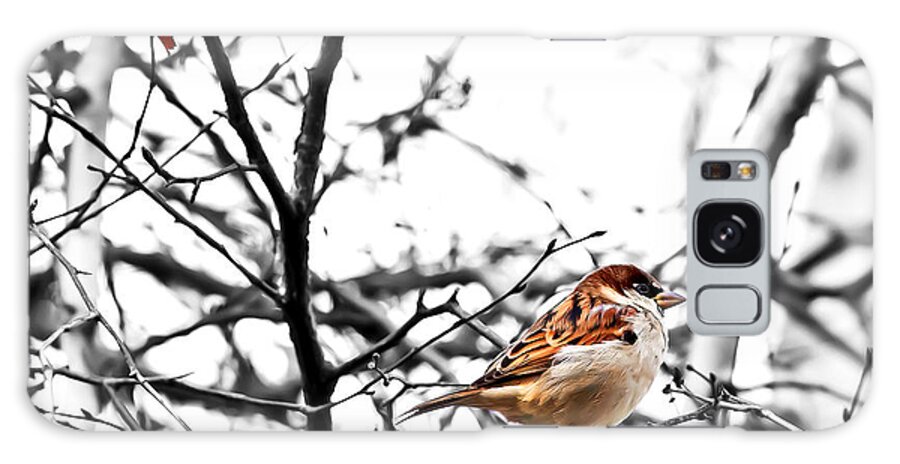 Sparrow Galaxy S8 Case featuring the photograph Fall Sparrow by Stan Kwong