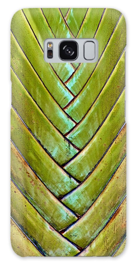 Fan Palm Galaxy S8 Case featuring the photograph Fan Lines by Britt Runyon