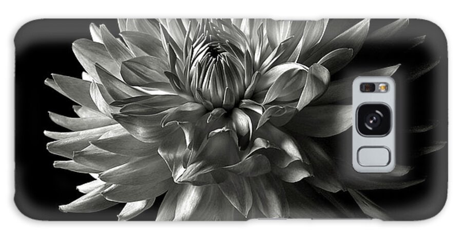 Flower Galaxy S8 Case featuring the photograph Fancy Dahlia in Black and White by Endre Balogh