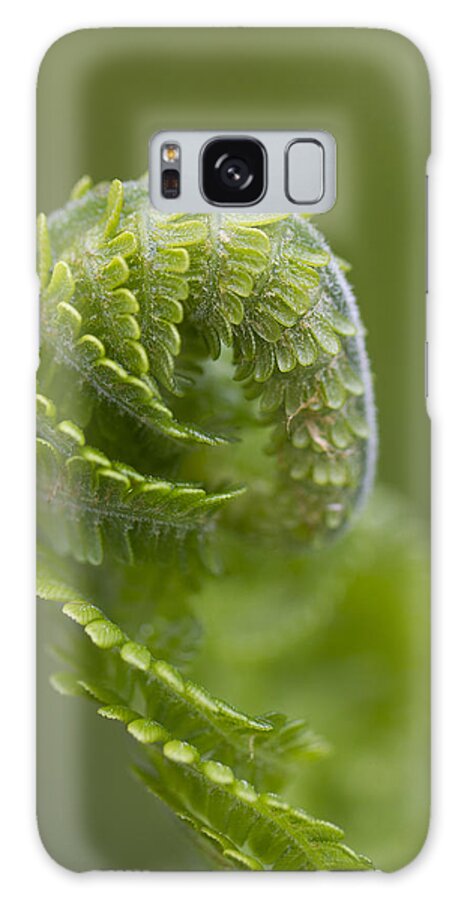 Clare Bambers Galaxy Case featuring the photograph Fern Unfurling by Clare Bambers