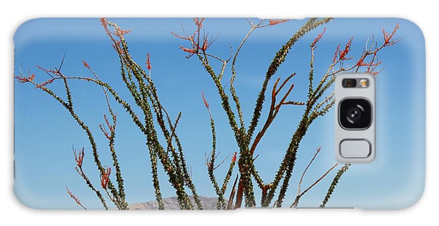 Ocotillo Galaxy Case featuring the photograph Fingers to the Sky by Leigh Meredith