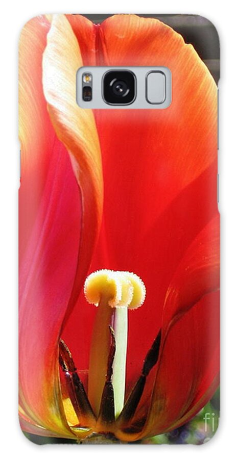 Tulip Galaxy Case featuring the photograph Flame by Rory Siegel