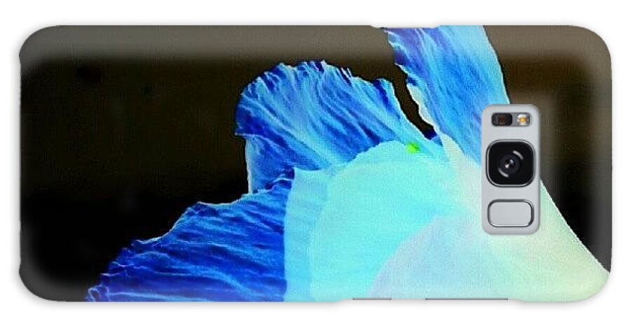  Galaxy Case featuring the photograph Flaming Blue Flower by James Granberry