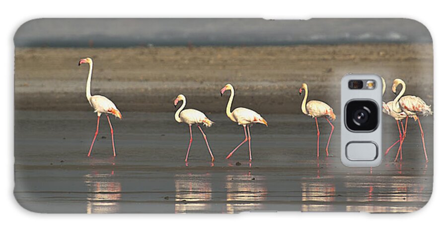 Luderitz Galaxy S8 Case featuring the photograph Flamingos by Fran Gallogly