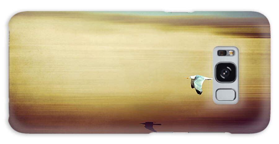 Seagull Galaxy Case featuring the photograph Flight Over The Beach by Hannes Cmarits