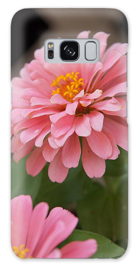 Pink Flower Galaxy Case featuring the photograph Flower by Megan Cohen