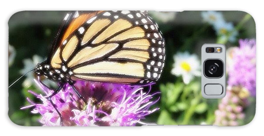 Butterfly Galaxy Case featuring the photograph Fluttering by Pam Wolney