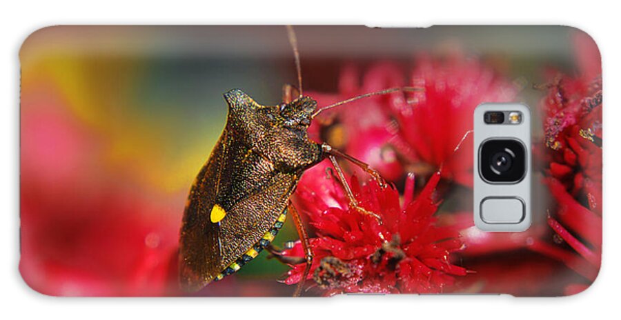 Yhun Suarez Galaxy Case featuring the photograph Forest Bug - Pentatoma Rufipes by Yhun Suarez