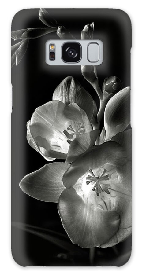 Flower Galaxy Case featuring the photograph Freesia in Black and White by Endre Balogh