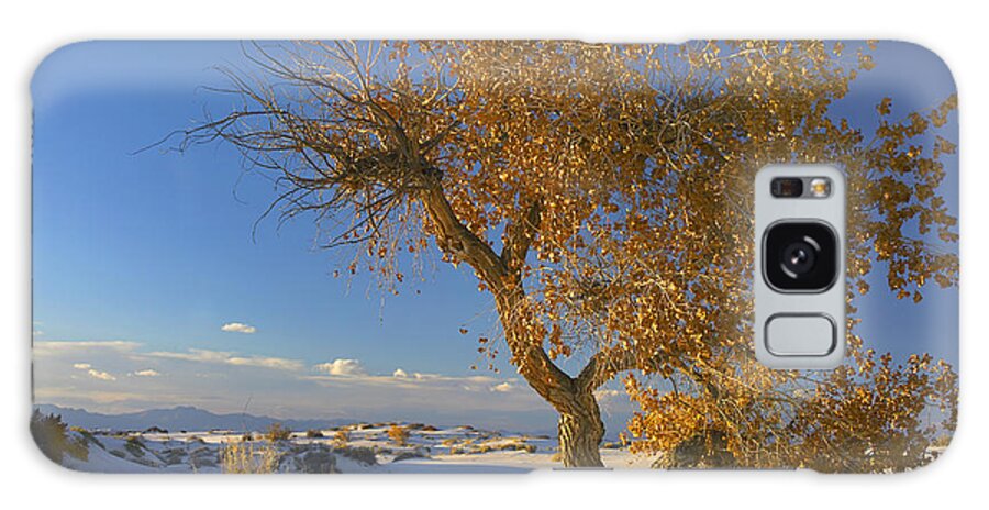 00175140 Galaxy Case featuring the photograph Fremont Cottonwood Tree Single Tree by Tim Fitzharris