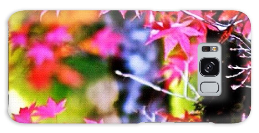 Fall Color Galaxy Case featuring the photograph Fuchsia And Orange Maple Leaves by Anna Porter