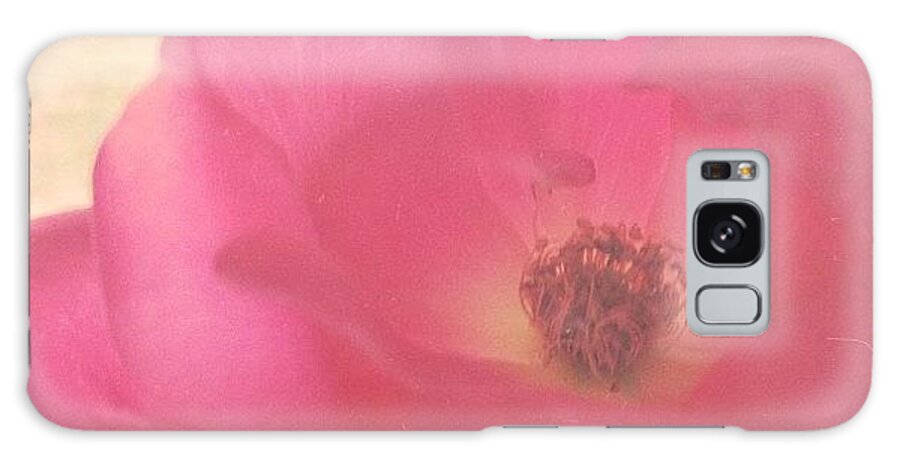  Galaxy Case featuring the photograph *garden Rose {still Going Strong} by Vanessa Ray