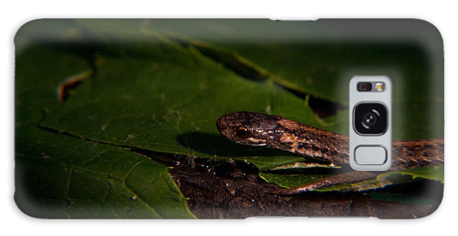 Common Galaxy S8 Case featuring the photograph Garter Snake on the Prowl 2 by Douglas Barnett