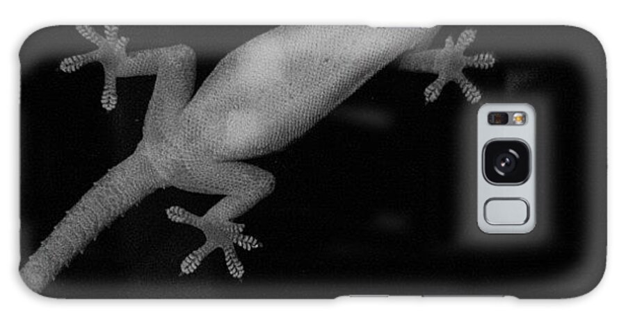Baw Galaxy Case featuring the photograph Gecko On A Window 2 by Cameron Bentley