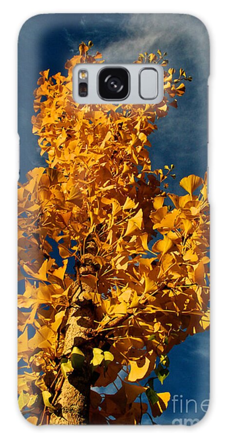 Gingko Galaxy Case featuring the photograph Gingko to the Sky by Mark Dodd