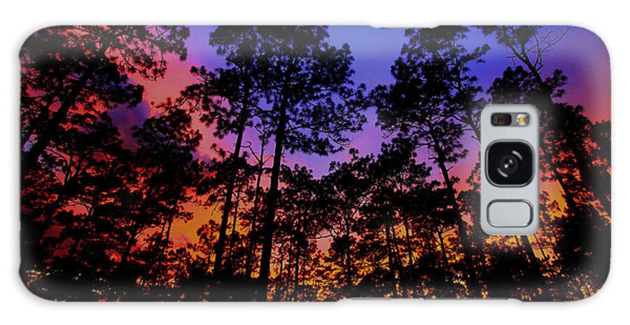 Glowing Forest Galaxy S8 Case featuring the photograph Glowing Forest by Barbara Bowen