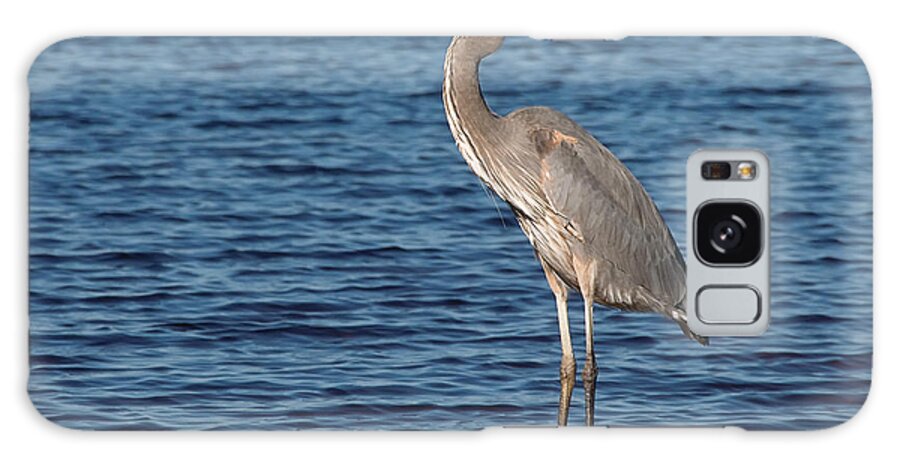 Great Blue Heron Galaxy Case featuring the photograph Great Blue Heron by Art Whitton