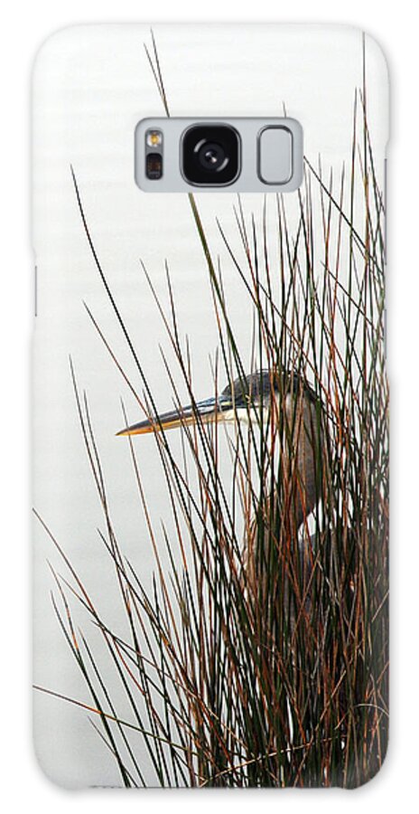 Great Blue Heron Galaxy Case featuring the photograph Great Blue Heron by Kay Lovingood