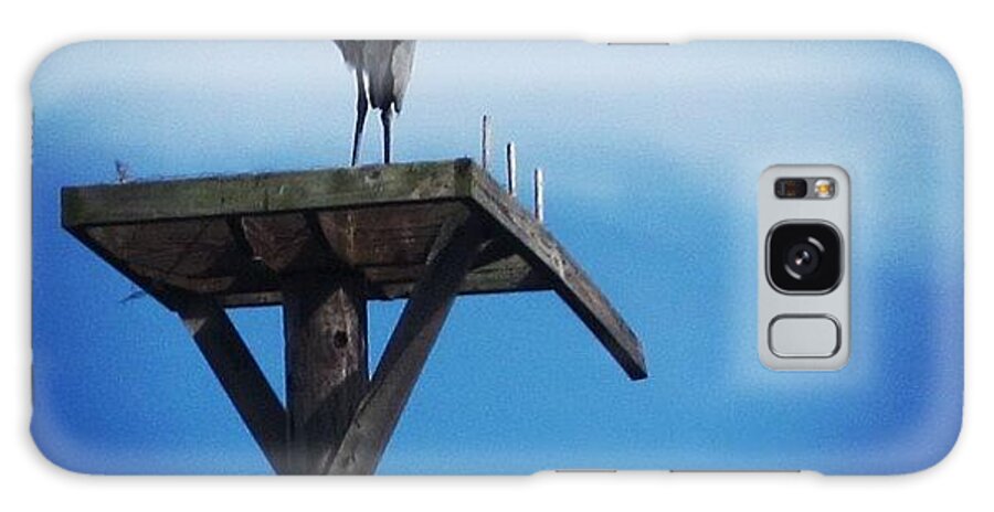 Blue Galaxy Case featuring the photograph #great #blue #heron On A #pole #flying by Michael Hughes