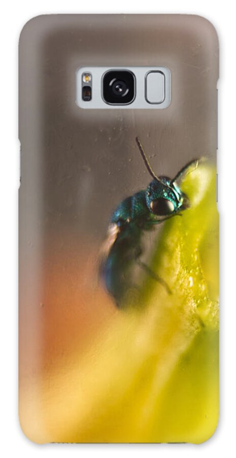 Chrysididae Galaxy S8 Case featuring the photograph Green Irridescent Cuckoo Wasp 1 by Douglas Barnett