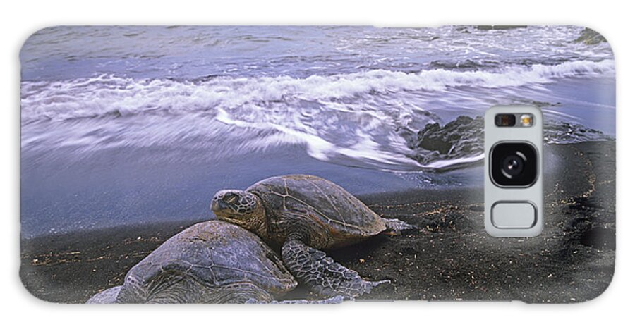 Mp Galaxy Case featuring the photograph Green Sea Turtle Chelonia Mydas Pair by Tim Fitzharris