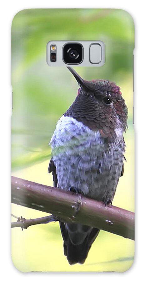 Hummingbird Galaxy Case featuring the photograph Handsome by Angie Vogel