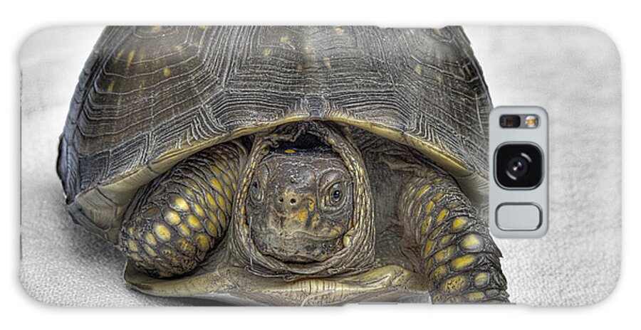 Hare-less Tortoise Galaxy Case featuring the photograph Hare-Less Tortoise by William Fields
