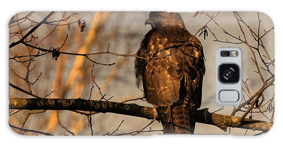 Hawk Galaxy Case featuring the photograph Hawk by Lawrence Christopher