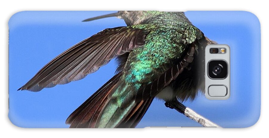 Hummingbird Galaxy Case featuring the photograph He Went That Way by Shane Bechler