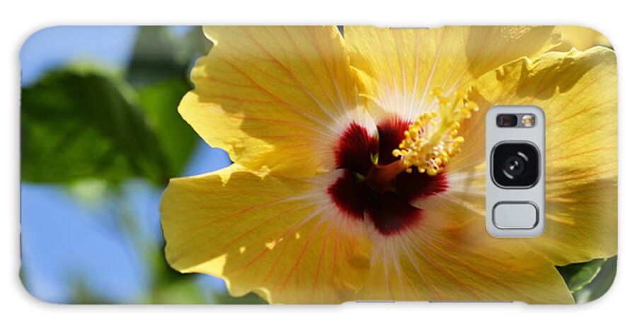 Hibiscus Galaxy Case featuring the photograph Hello Yellow by Melanie Moraga