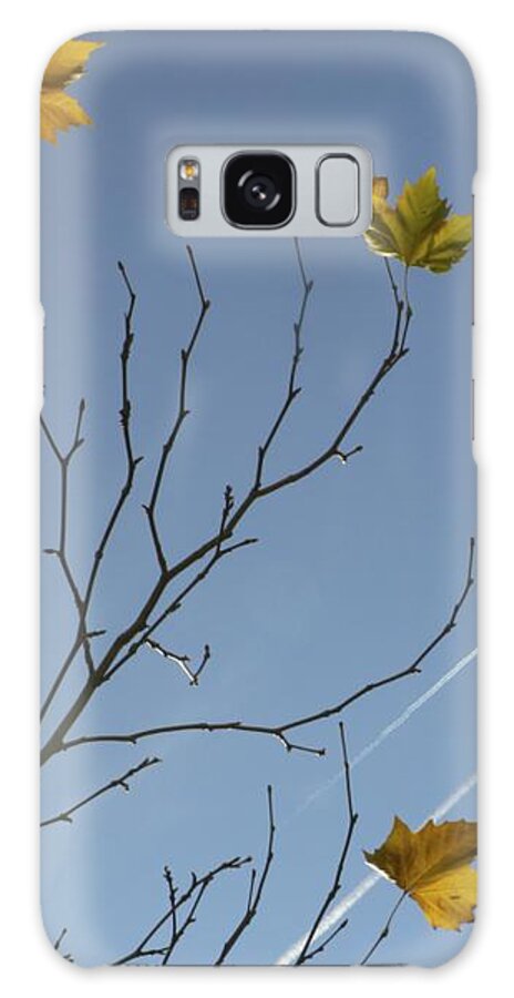 Photo Galaxy Case featuring the photograph High or low by Philippe Taka