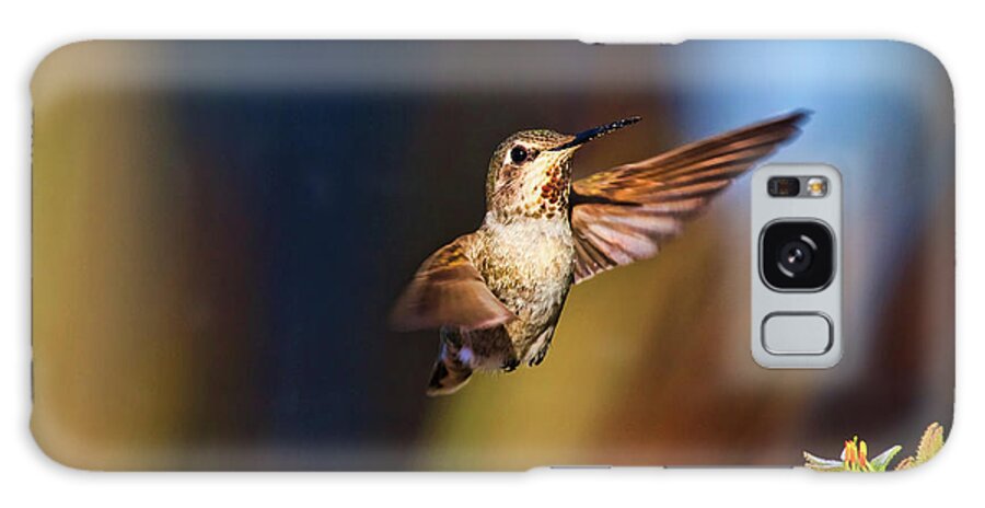 Annas Hummingbird Galaxy S8 Case featuring the photograph Hummingbird by Beth Sargent