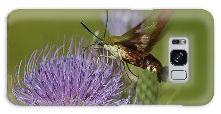 Nature Galaxy Case featuring the photograph Hummingbird or Clearwing Moth DIN178 by Gerry Gantt