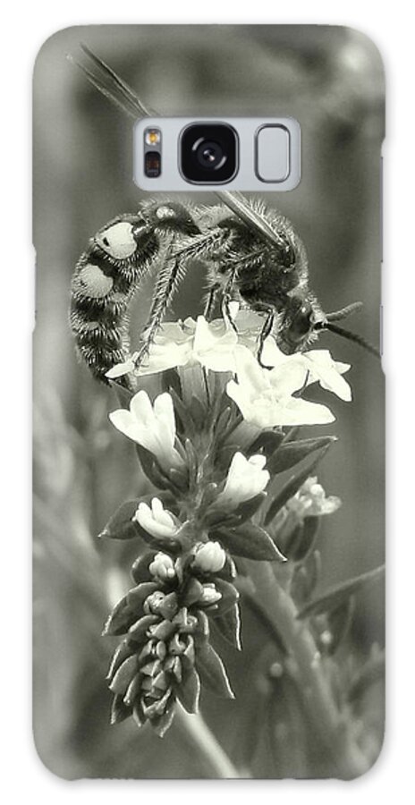 Nature Galaxy Case featuring the photograph Hunter Wasp on Heliotrope by Peggy Urban