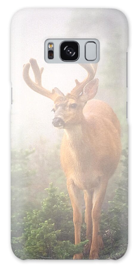 Deer Galaxy Case featuring the photograph In the Mist by Tom and Pat Cory
