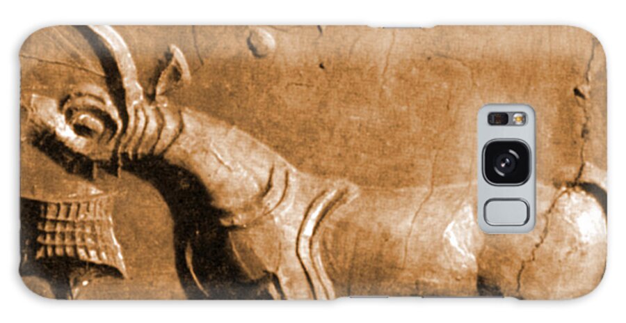 Historic Galaxy Case featuring the photograph Indus Valley Unicorn Relief by Science Source