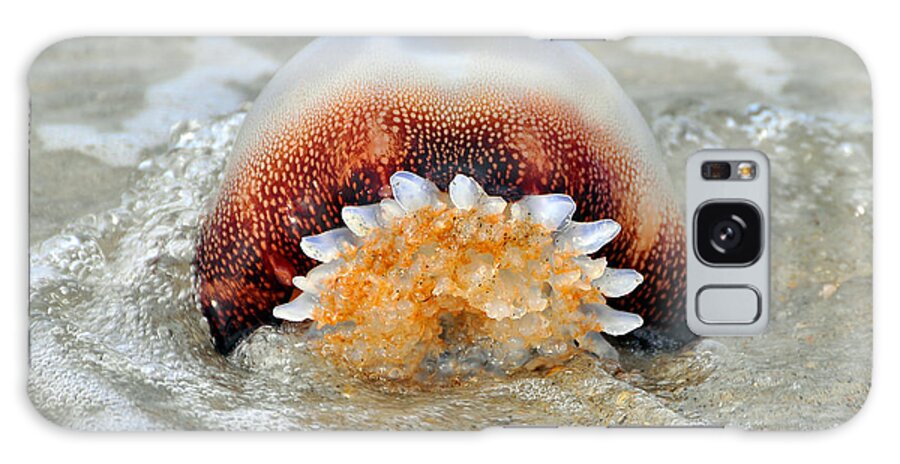 Jellyfish Galaxy Case featuring the photograph Jelly in a Jam by Al Powell Photography USA