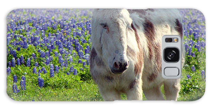 Donkey Galaxy Case featuring the photograph Jesus Donkey In Bluebonnets by Linda Cox