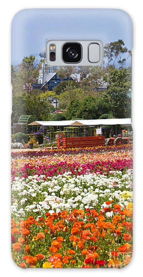 Flower Fields Galaxy Case featuring the photograph Knighton003 by Daniel Knighton